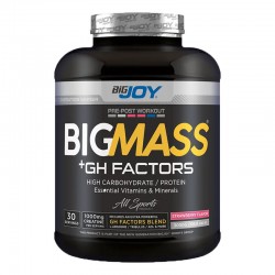 BİG JOY BİG MASS + GH FACTORS 3000 GR ÇİLEK