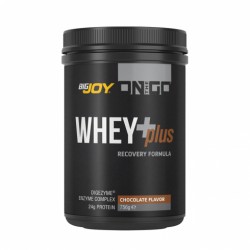 ON THE GO WHEY+PLUS ÇİKOLATA 725 GR