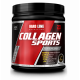 HARDLİNE COLLAGEN SPORTS 320 GR